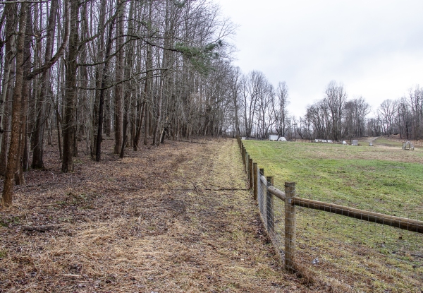 February 6, 2025 Farmland at Deep Roots Farm in Upper Marlboro, Md.