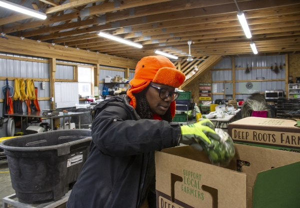 February 6, 2025 Farmer Gale Livingstone boxing harvested vegetables at Deep Roots Farm in Upper Marlboro, Maryland. Photo by Dee Dwyer for NPR