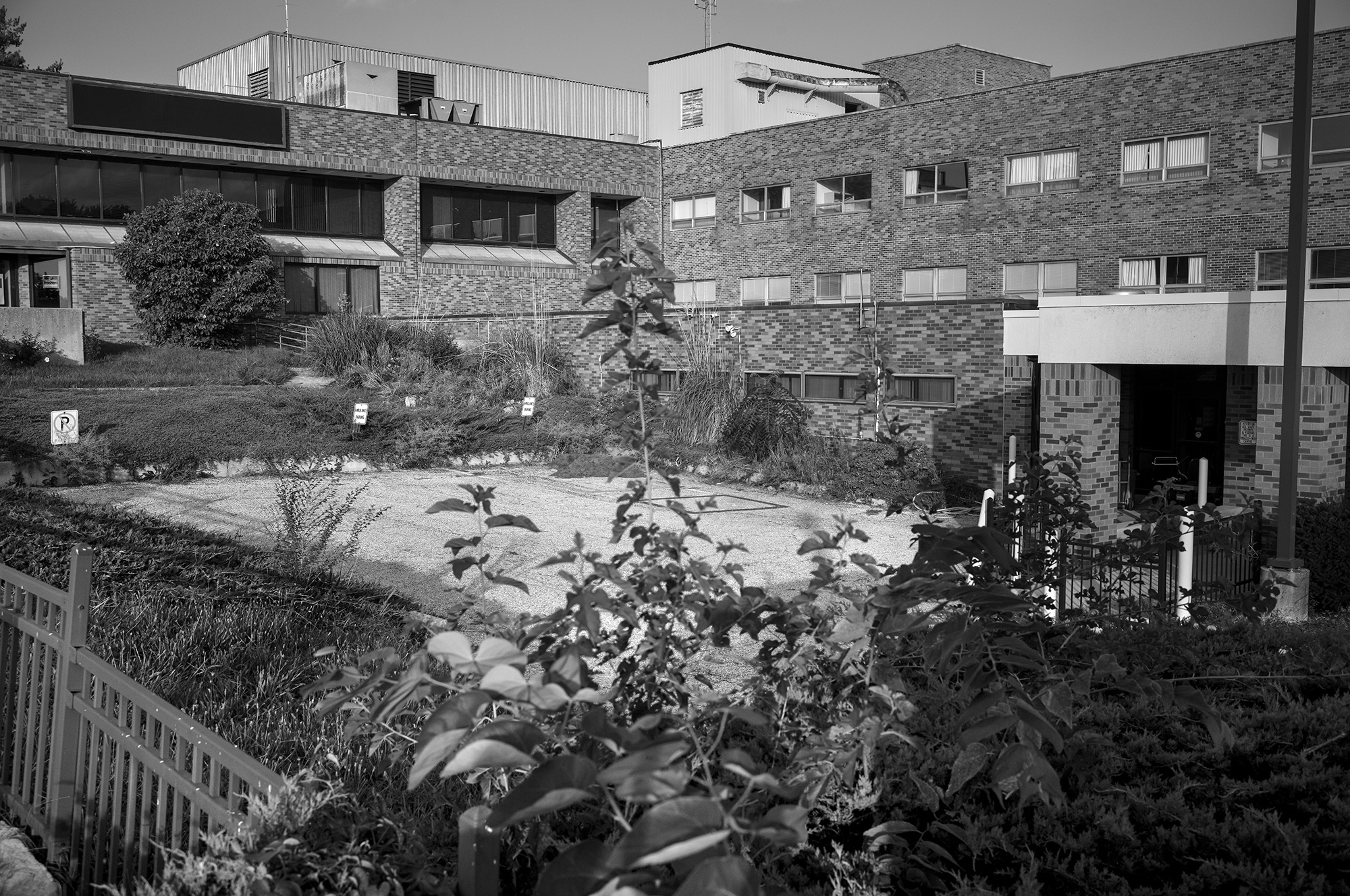 Abandoned hospital building with weeds and other vegetation growing around it.