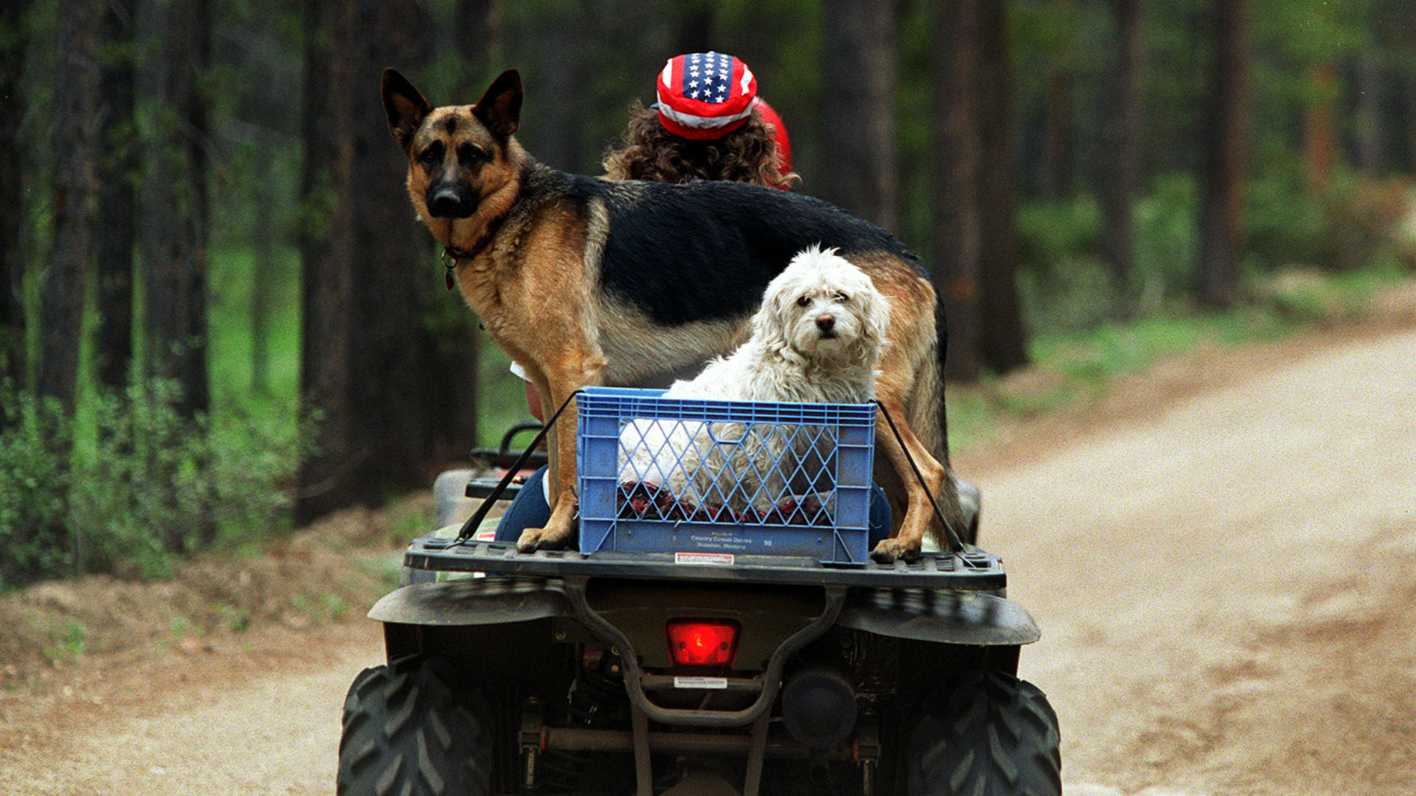 Karla Gagby, above, rides through the Beaverhead-Deerlodge National Forest in southwestern Montana on July Fourth. Gagby cannot hike because of a lung injury.