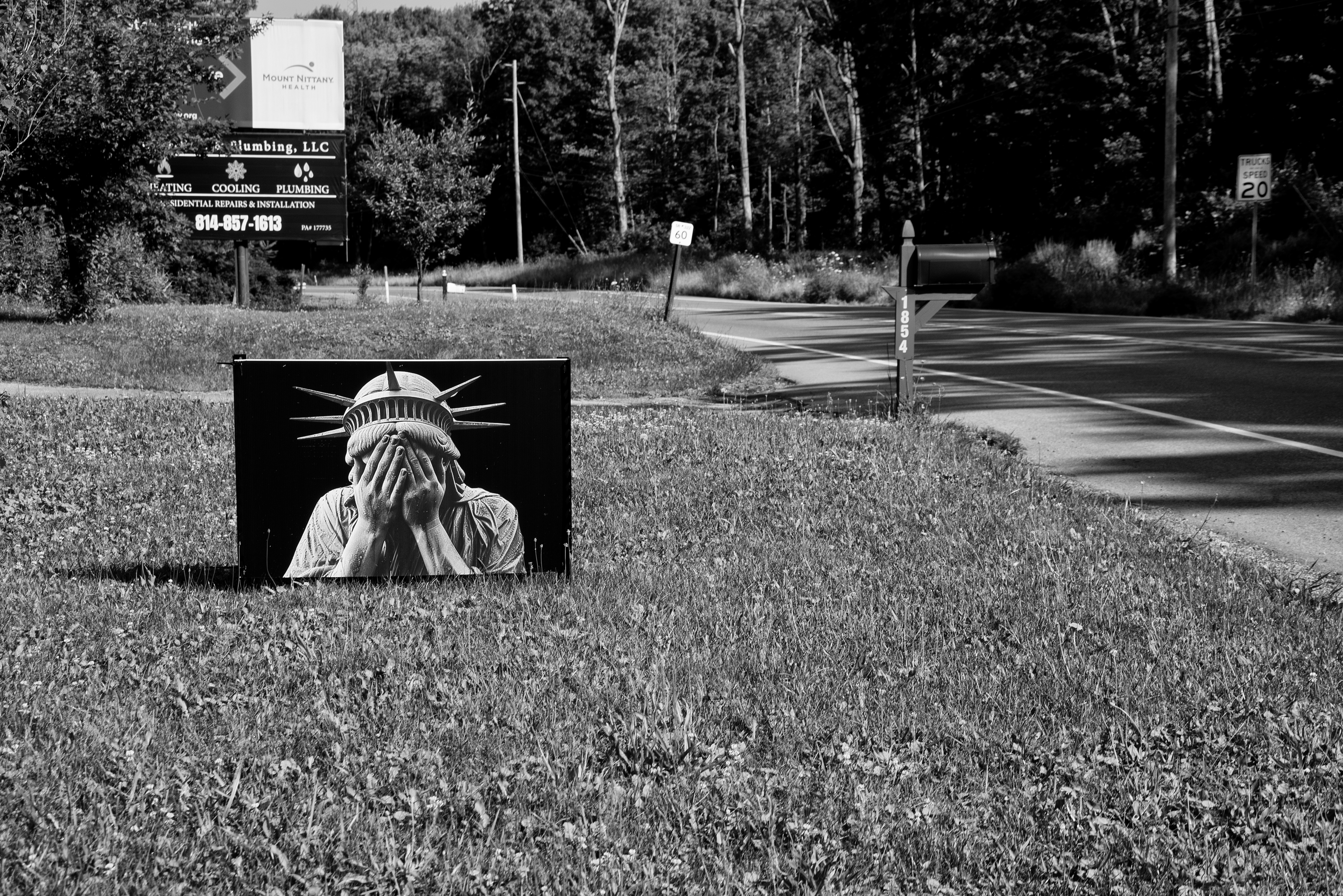 Sign showing a weeping Statue of Liberty in a yard.