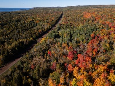 Fall colors along the North Shore