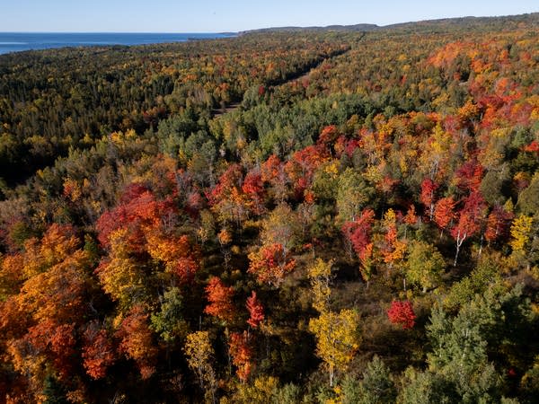 Fall colors along the North Shore