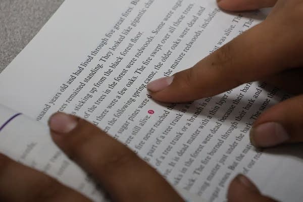 Leech Lake Bug-O-Nay-Ge-Shig students show reading gains using Direct Instruction 