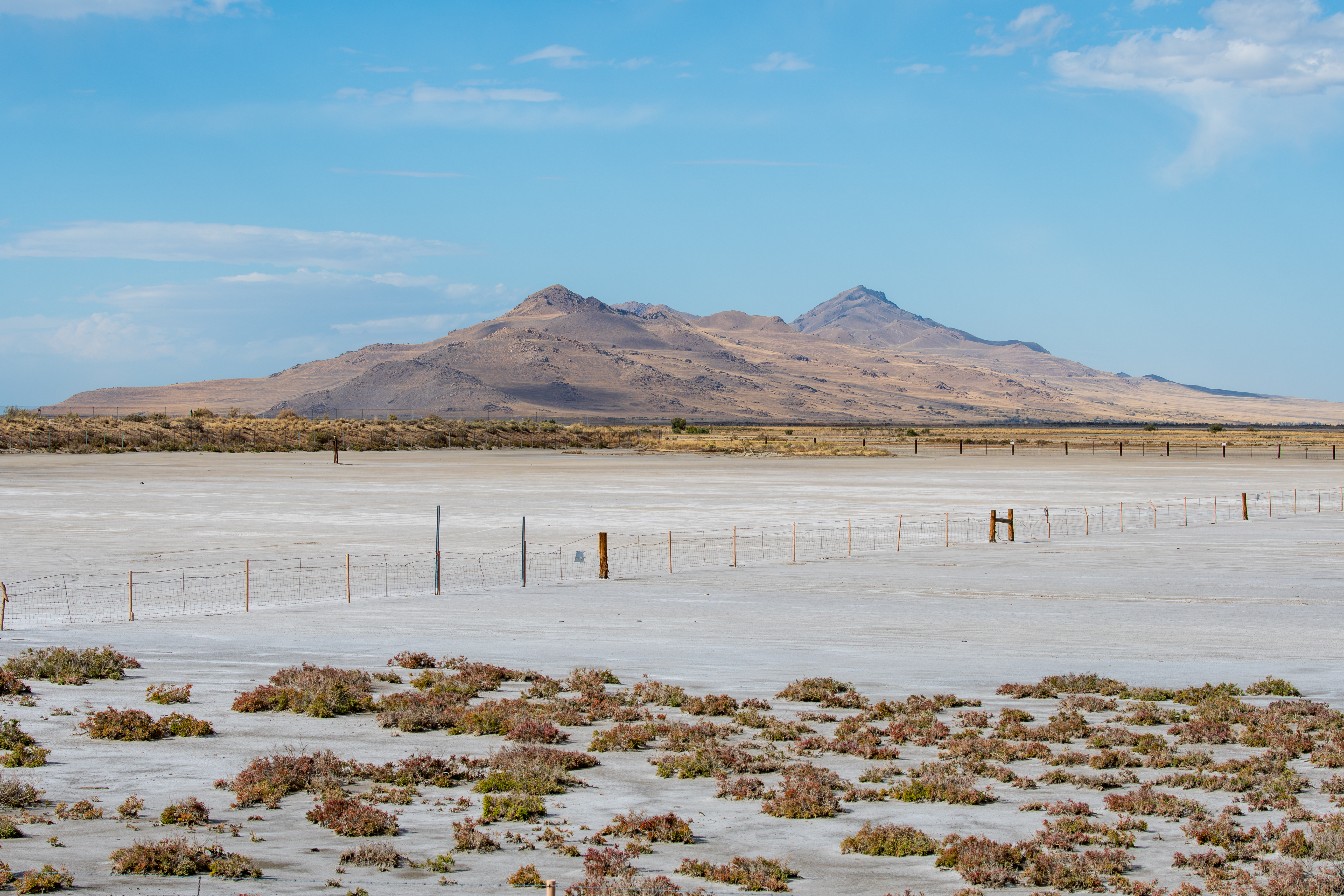 A desert scene, with a fence stretching across a landscape, little vegetation, and a lot of sand. There are hills in the background and a wide sky with a few clouds.