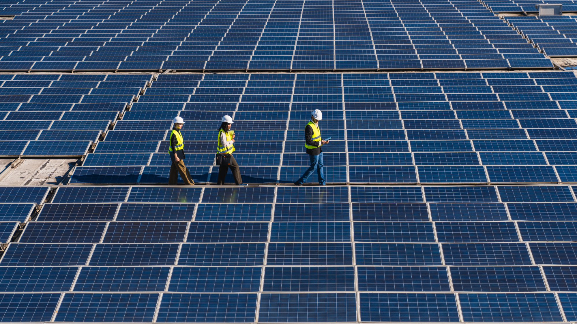 
Engineers inspecting solar panels at renewable energy plant. Experts say accelerating clean energy uptake can help decrease emissions that fuel global warming, avoiding climate threats to biodiversity. 